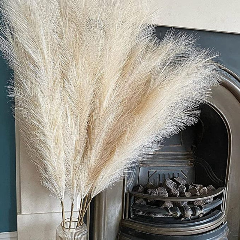 pampas grass